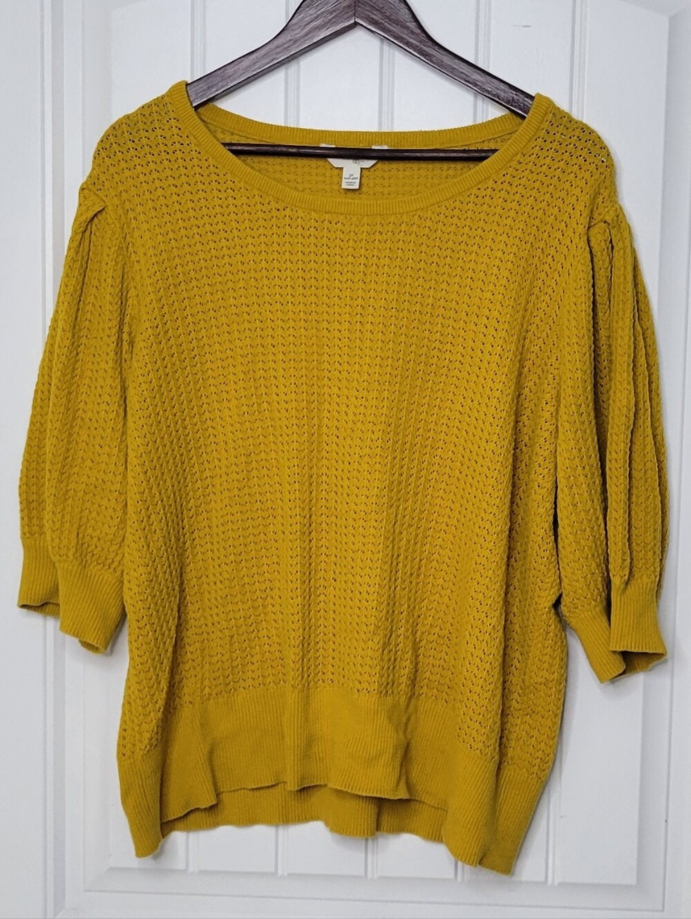 Terra & Sky Mustard Yellow Scoop Neck Knit Sweater